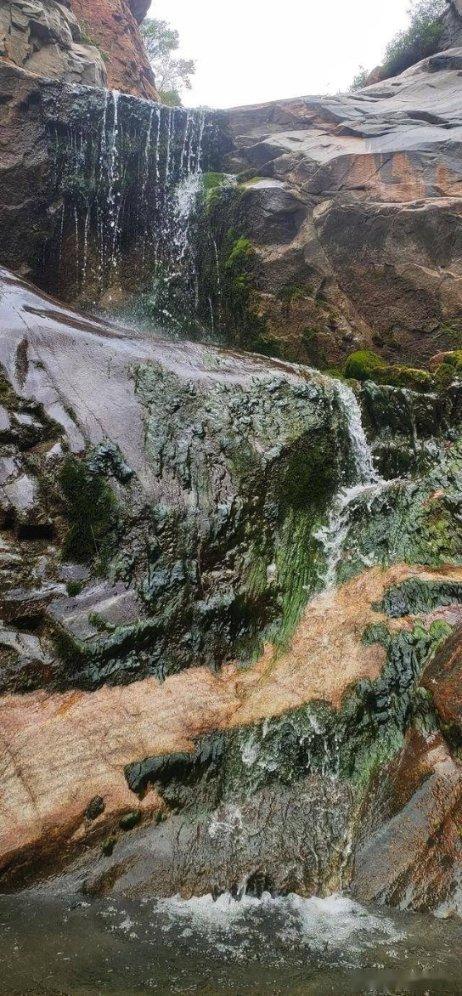山东考公团「横扫」江浙沪，是什么原因？